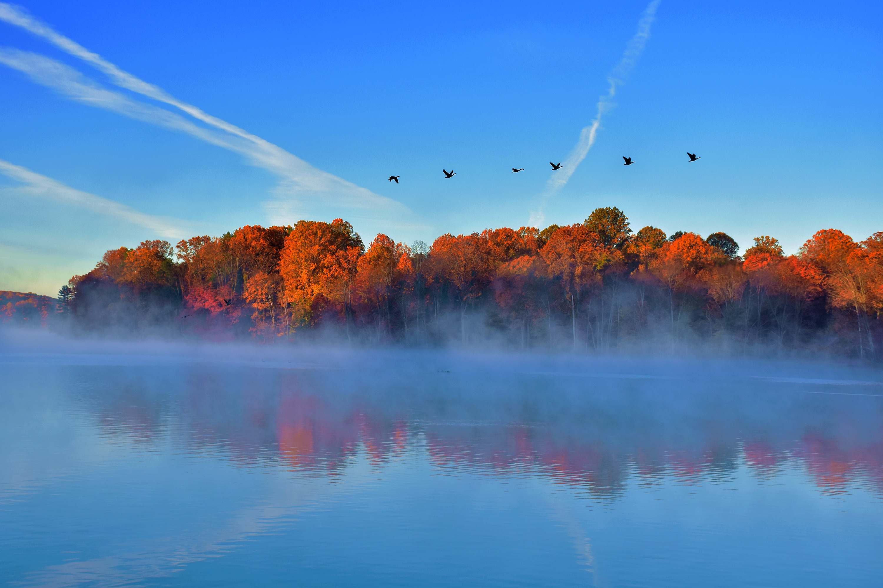 Duane-Loveland_Brecks-Mil-on-Brandywine